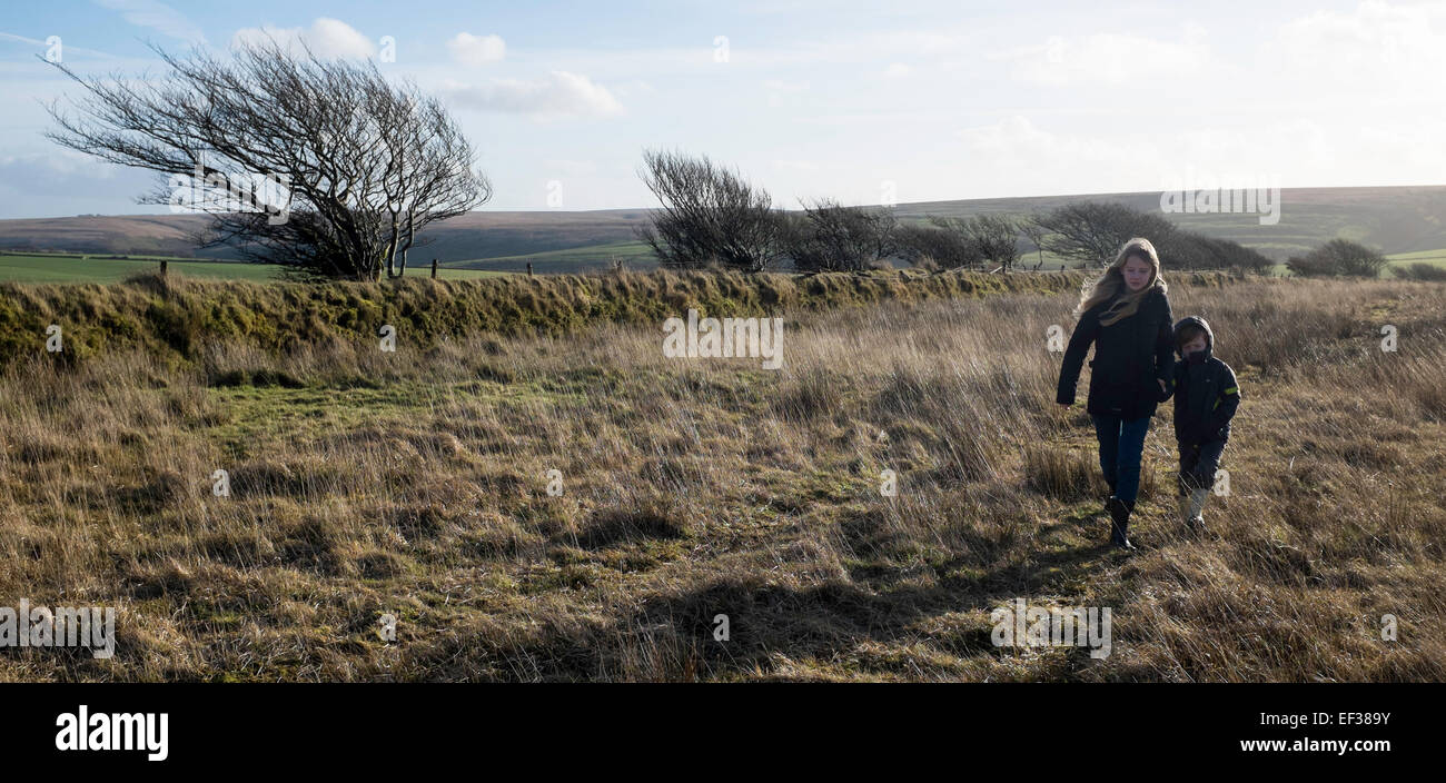 Promenades North Devon Banque D'Images