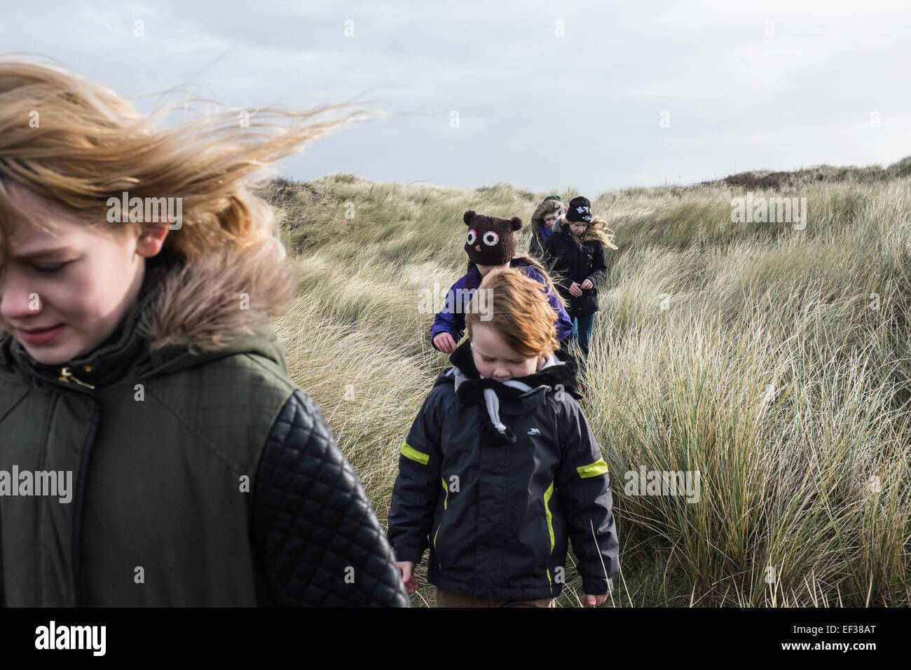 Promenades North Devon Banque D'Images