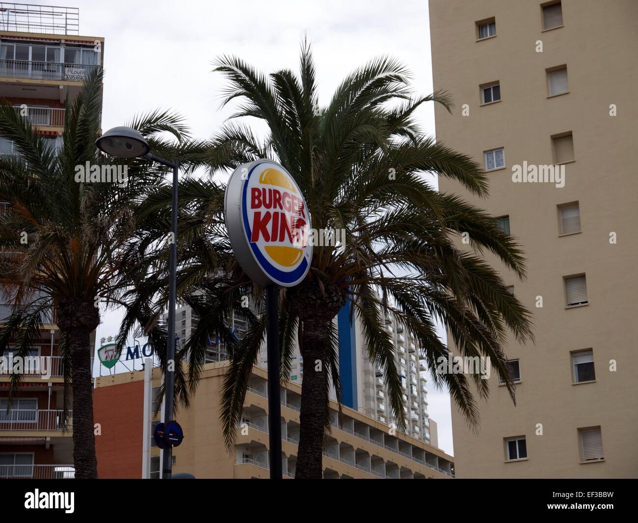 Burger King signe en face de palmiers et d'un immeuble Banque D'Images