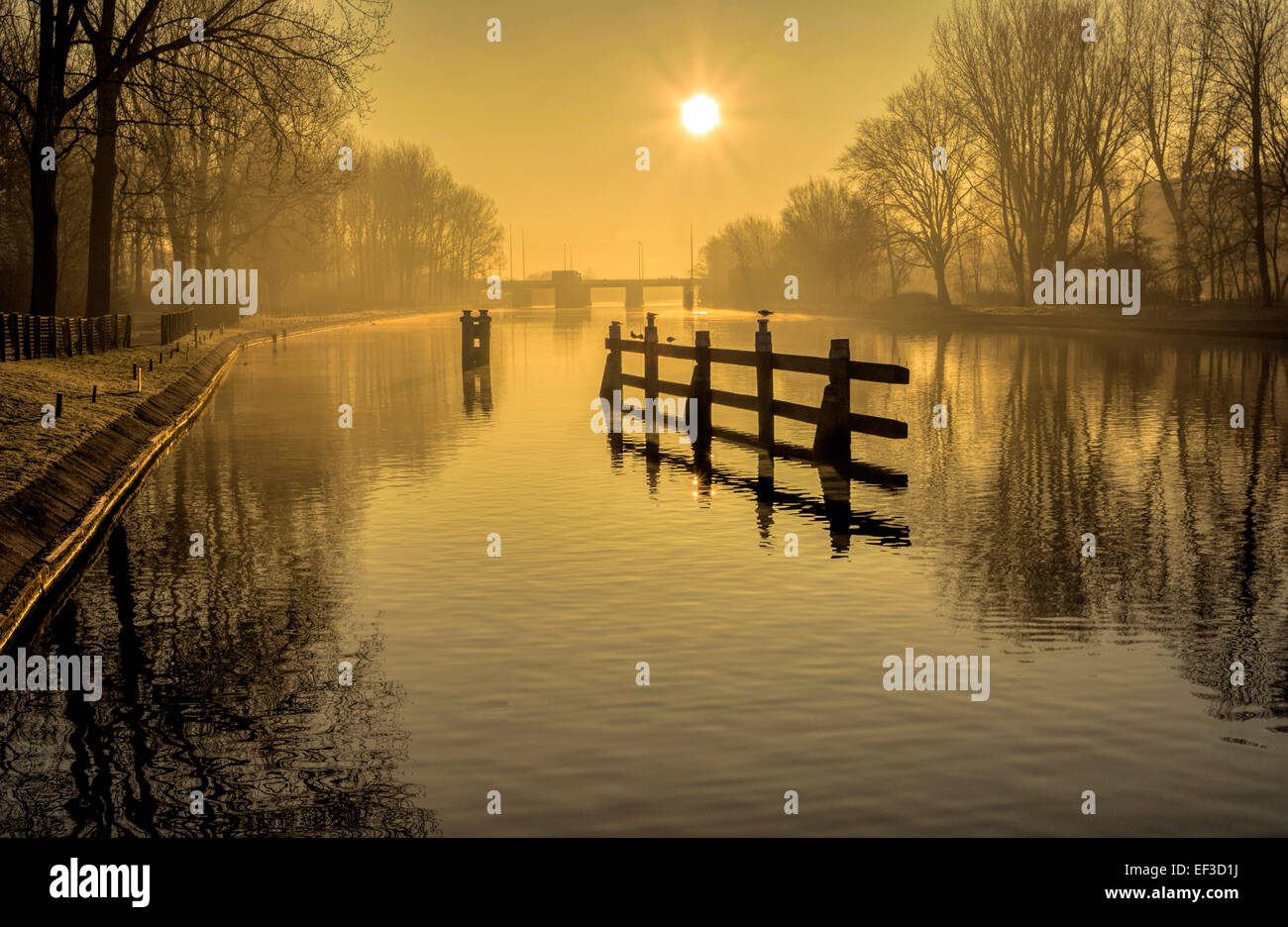 Dutch winter morning mood : une vue brumeuse, sur la terre et la lumière orangée de l'aube, Katwijk aan Zee, Hollande-du-Sud. Banque D'Images