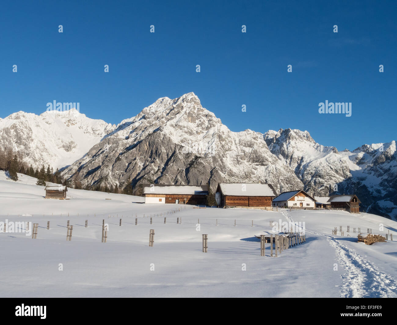 Walder Alm im Winter Banque D'Images