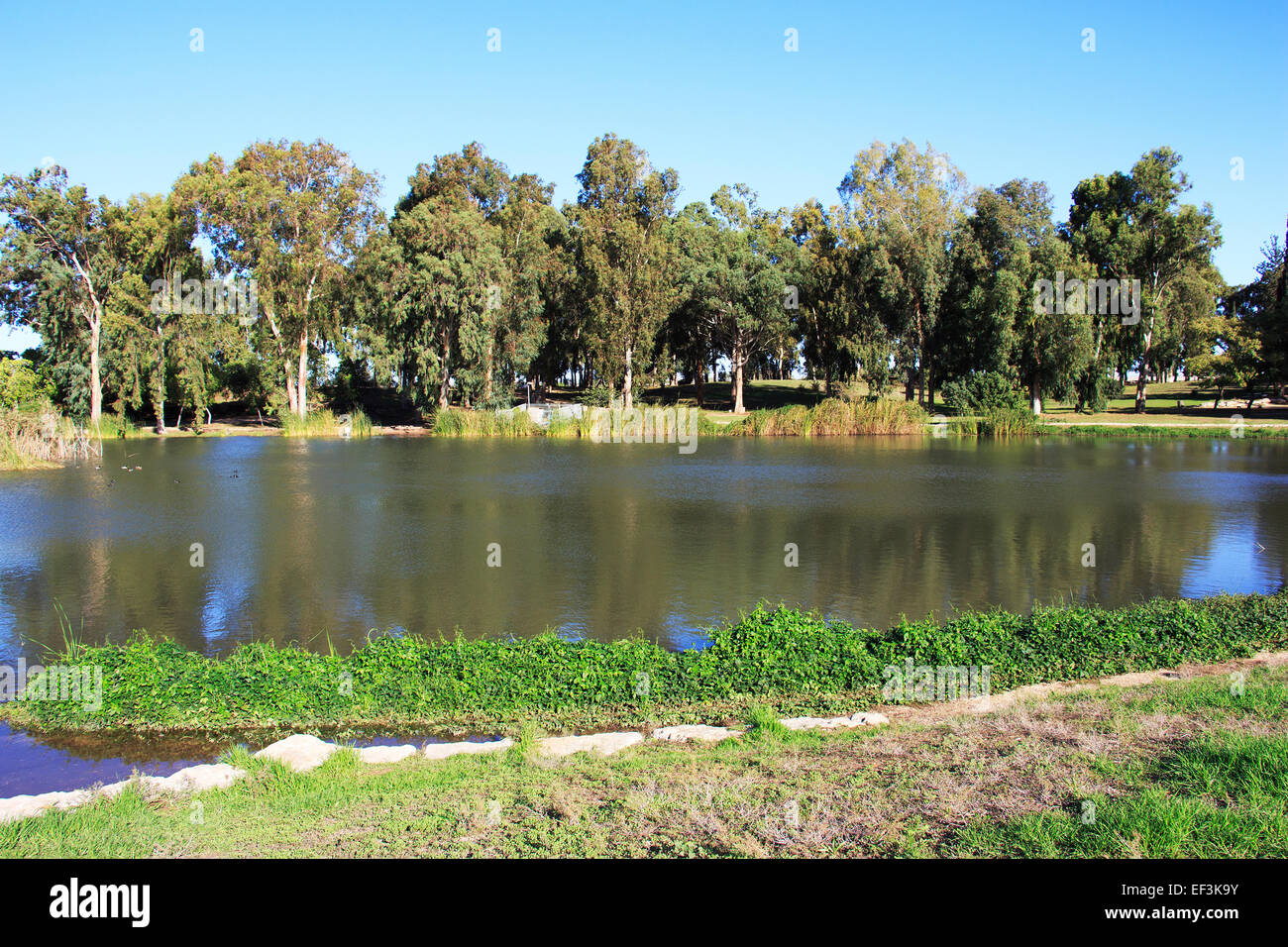 Parc Afek Banque D'Images