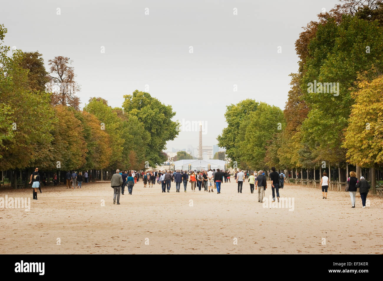 Chemin à travers le Jardin des Tuileries vers la Place de la Concorde, Paris, France. Banque D'Images
