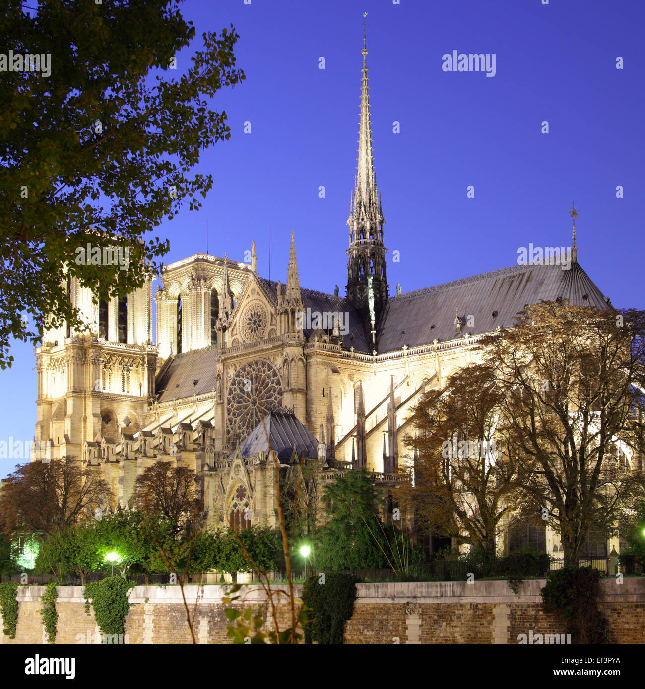 Vue du soir de Notre Dame de Paris, France Banque D'Images