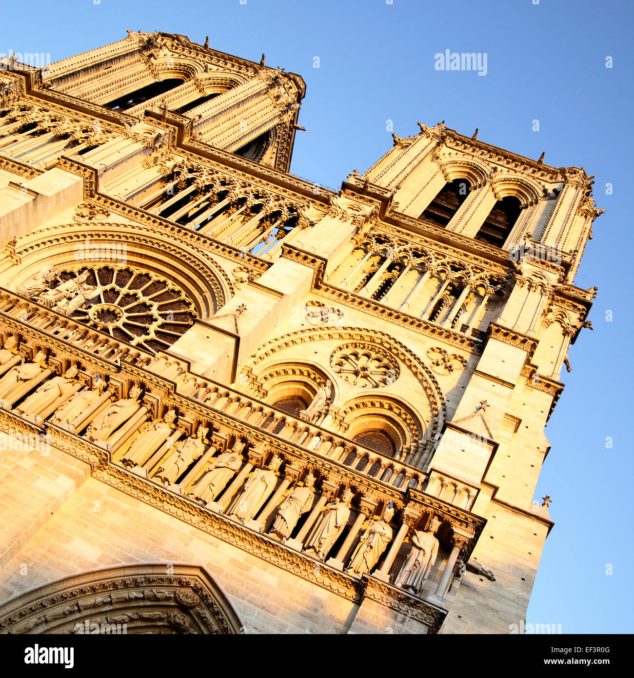 Vue du soir de Notre Dame de Paris, France Banque D'Images