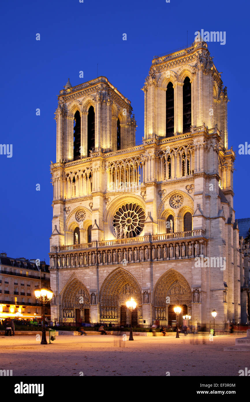 Vue de la nuit de Notre Dame de Paris, France Banque D'Images