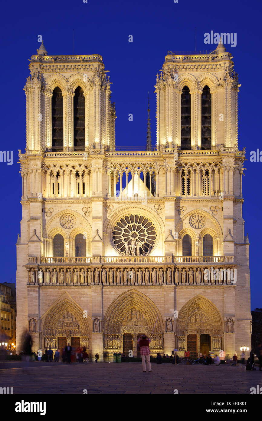 Vue du soir de Notre Dame de Paris, France Banque D'Images