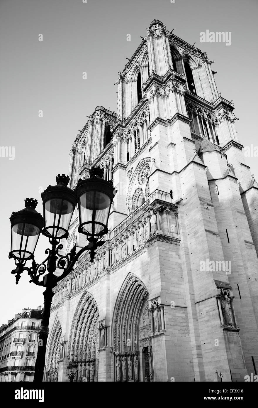 Notre Dame de Paris, France. Image en noir et blanc. Banque D'Images