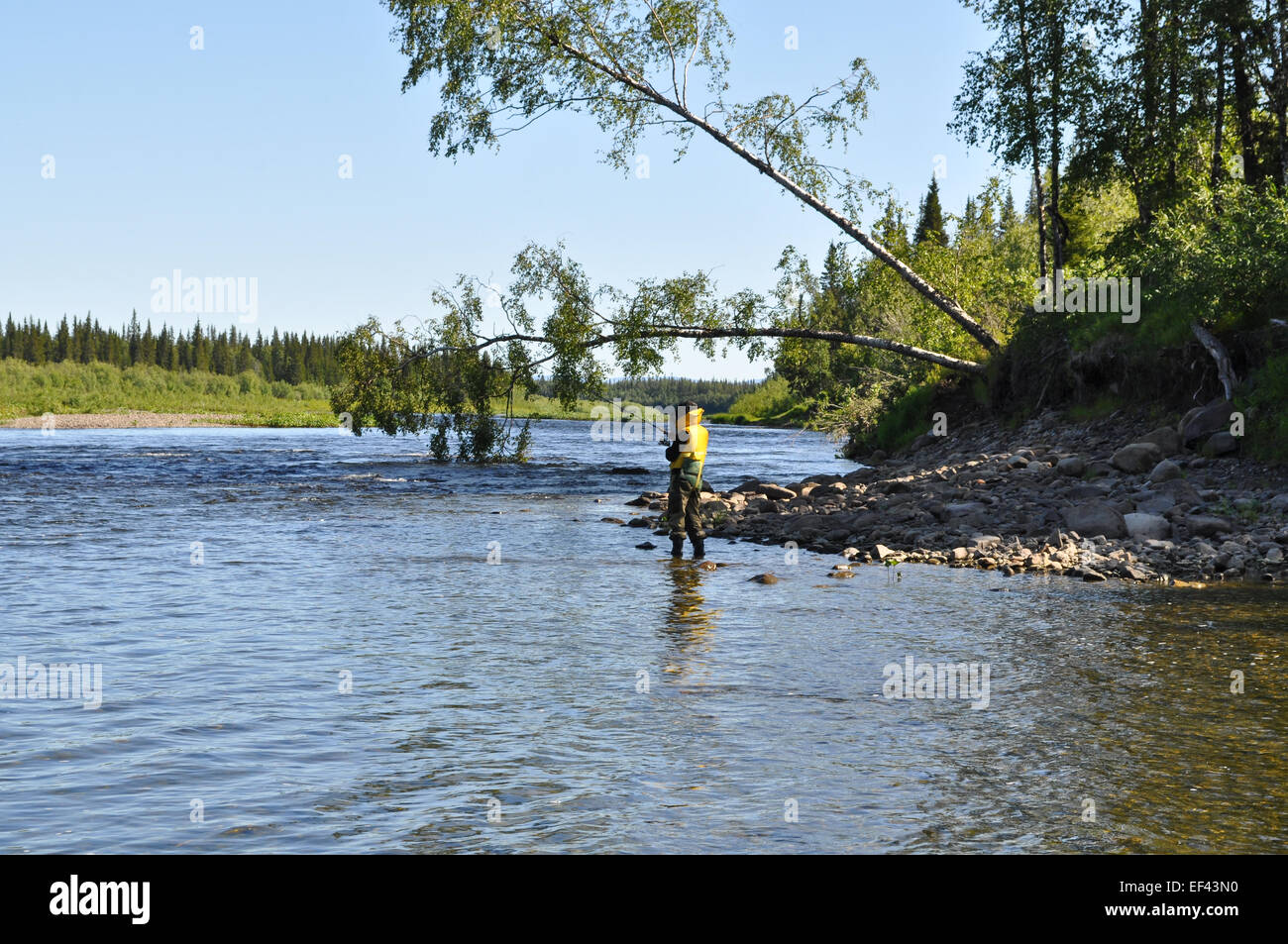 Dans la vallée de la rivière Oural polaire. Paysage du nord de l'eau de la Russie européenne. Banque D'Images