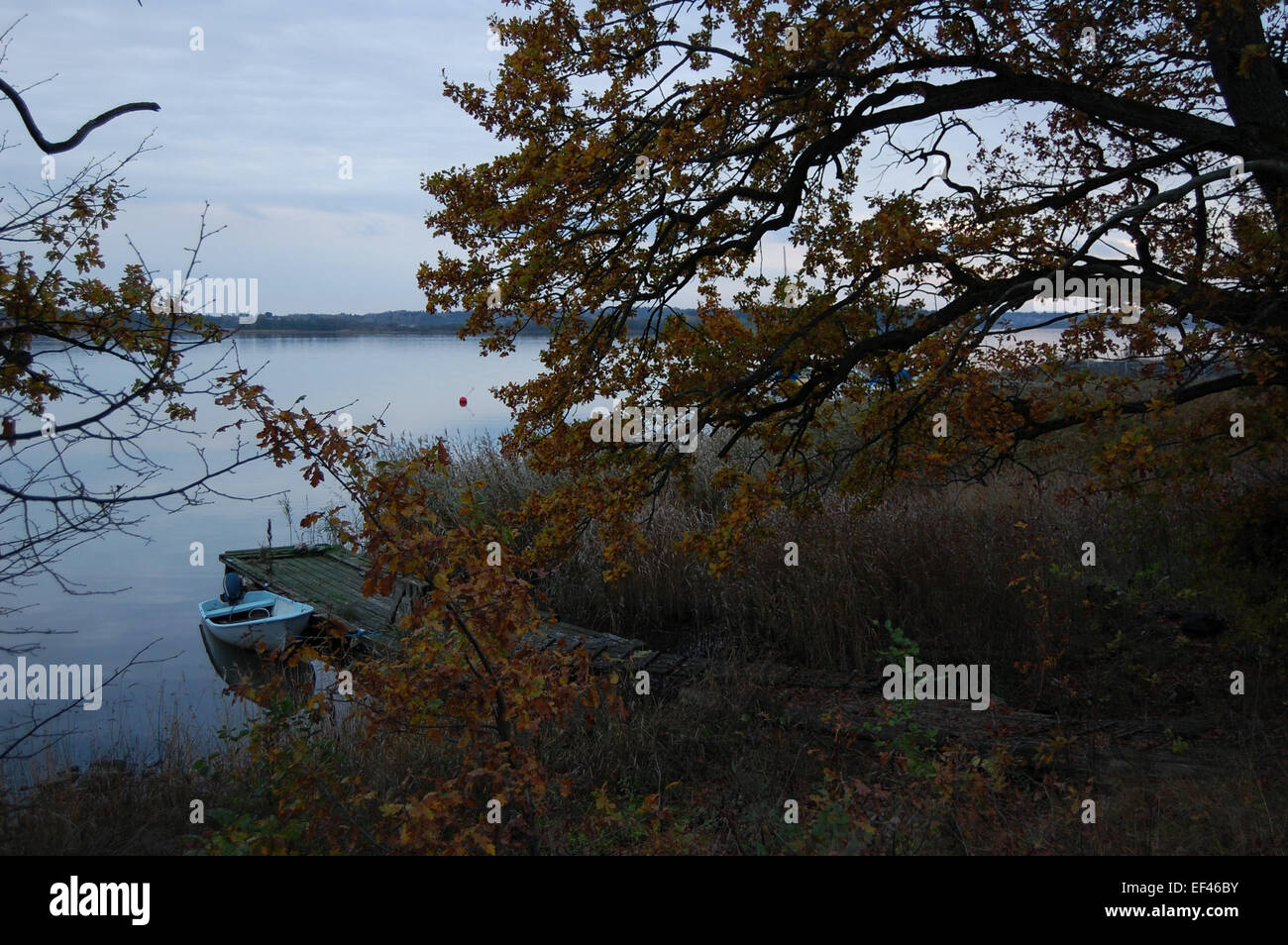 L'automne, l'île des animaux (Djurön), Suède Banque D'Images