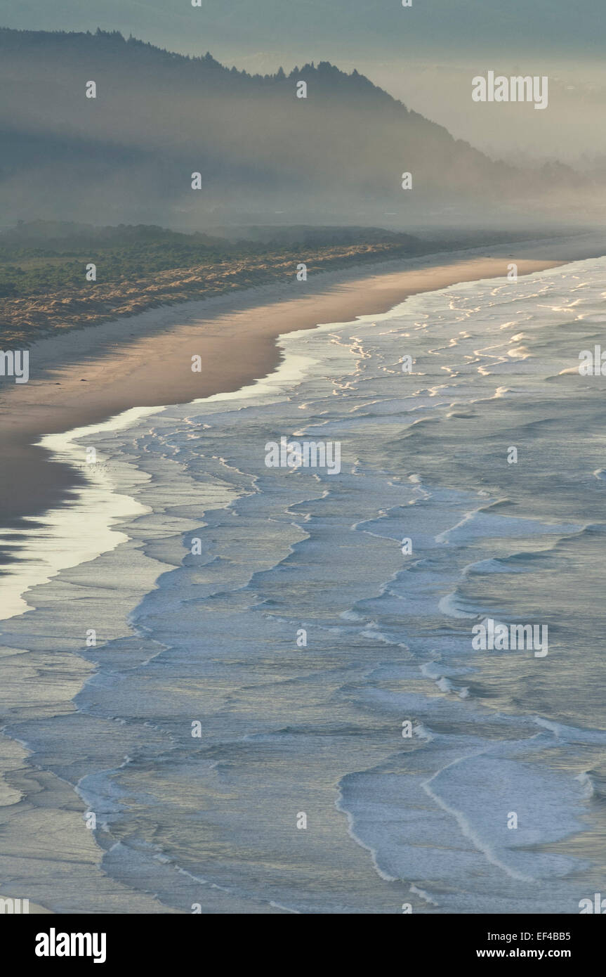 Plage de Nehalem de l'autoroute 101 Ouest vue à Oswald State Park, dans le nord de la côte de l'Oregon. Banque D'Images