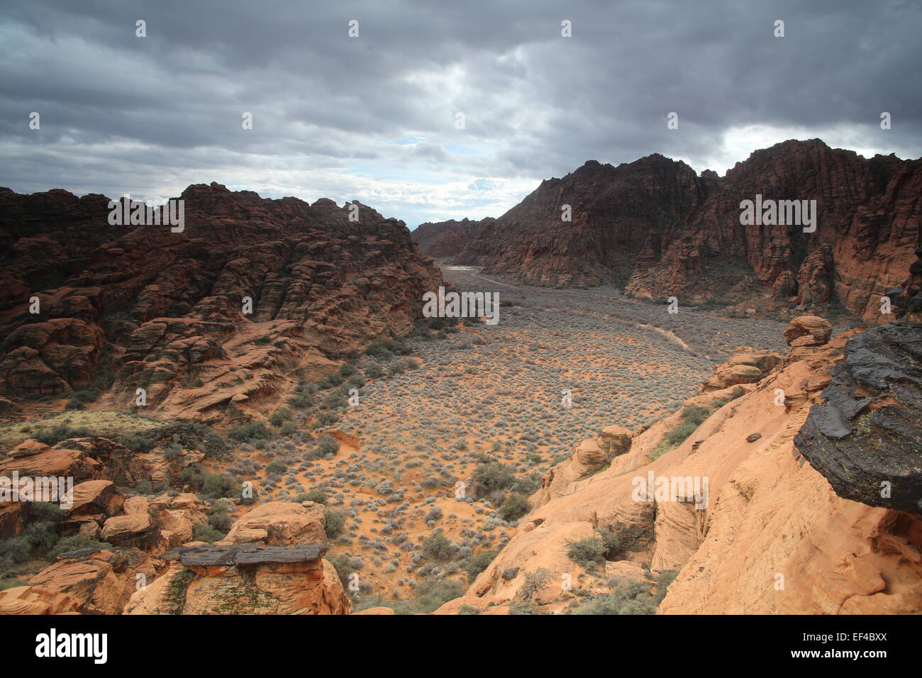 Storm clouds over Snow Canyon State Park, Utah photo de jen lombardo Banque D'Images