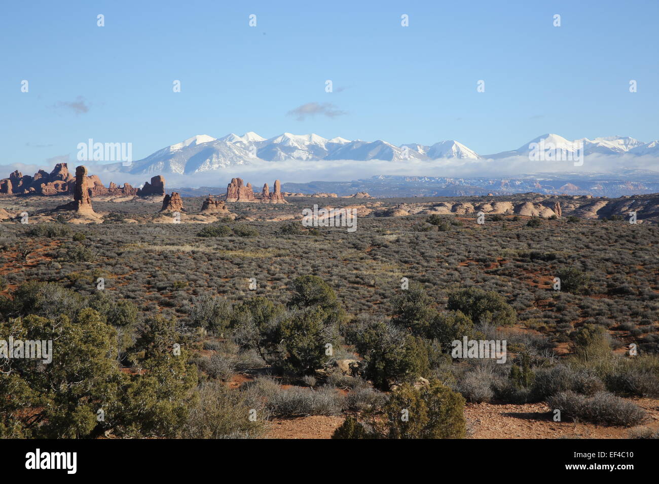 Montagnes La Sal donnent sur parc national Arches dans l'Utah photo de jen lombardo Banque D'Images