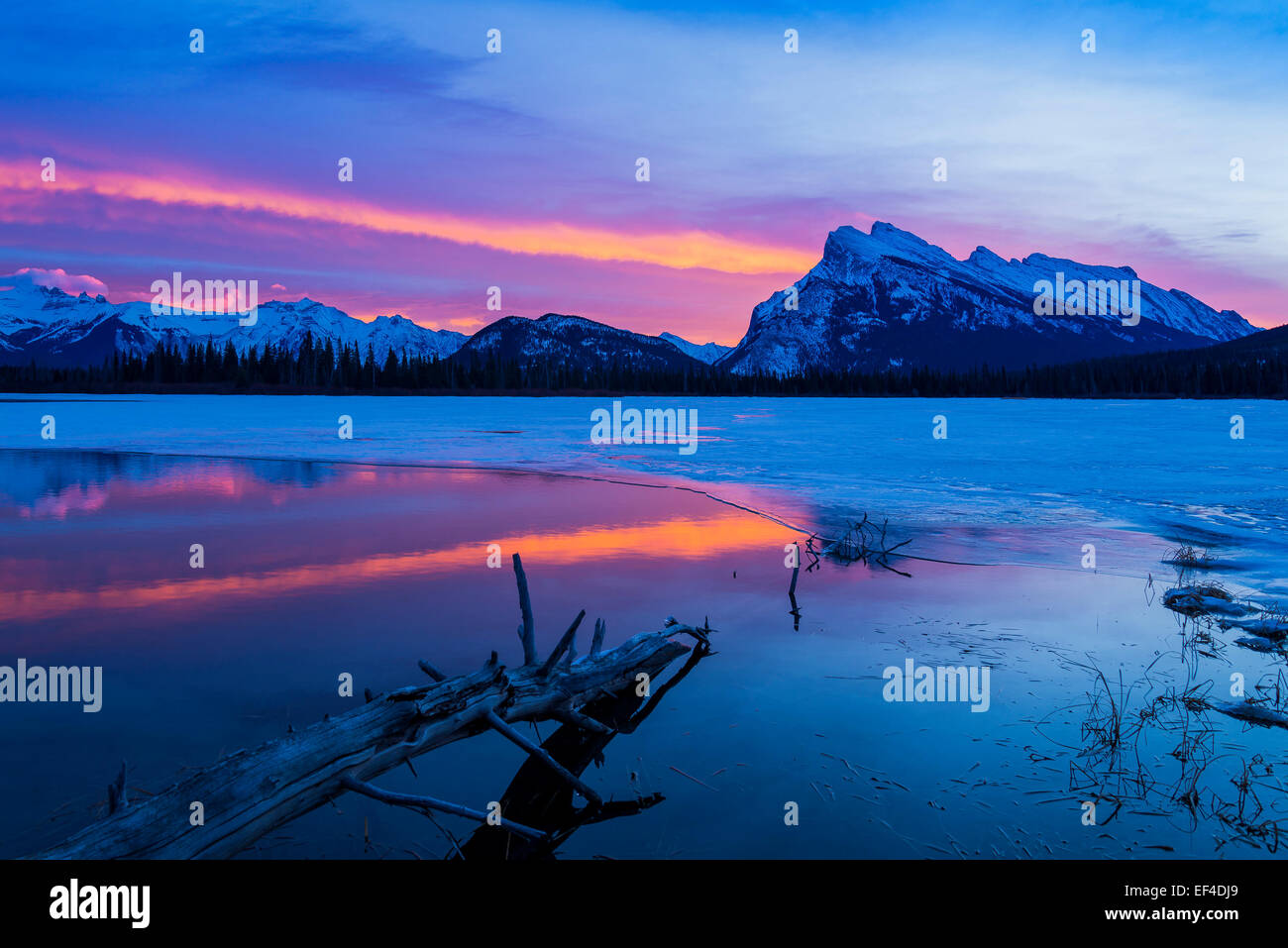 Aube lumière spectaculaire, le mont Rundle, Banff National Park, Alberta, Canada Banque D'Images