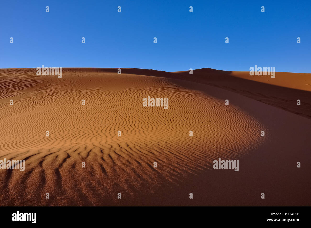 Des traces dans les dunes de sable au lever du soleil, Merzouga, Maroc, Afrique du Nord Banque D'Images