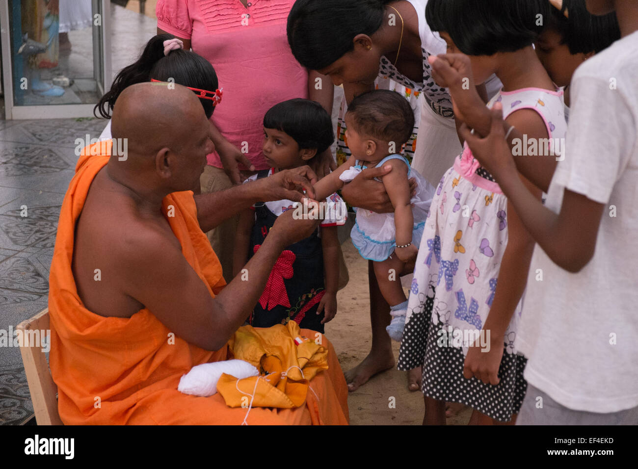 Le moine bouddhiste attachant,sacré béni saint thread sur les poignets aux fidèles au temple bouddhiste à Hikkaduwa, Sri Lanka, Asie. Festival.monk,moines, Banque D'Images