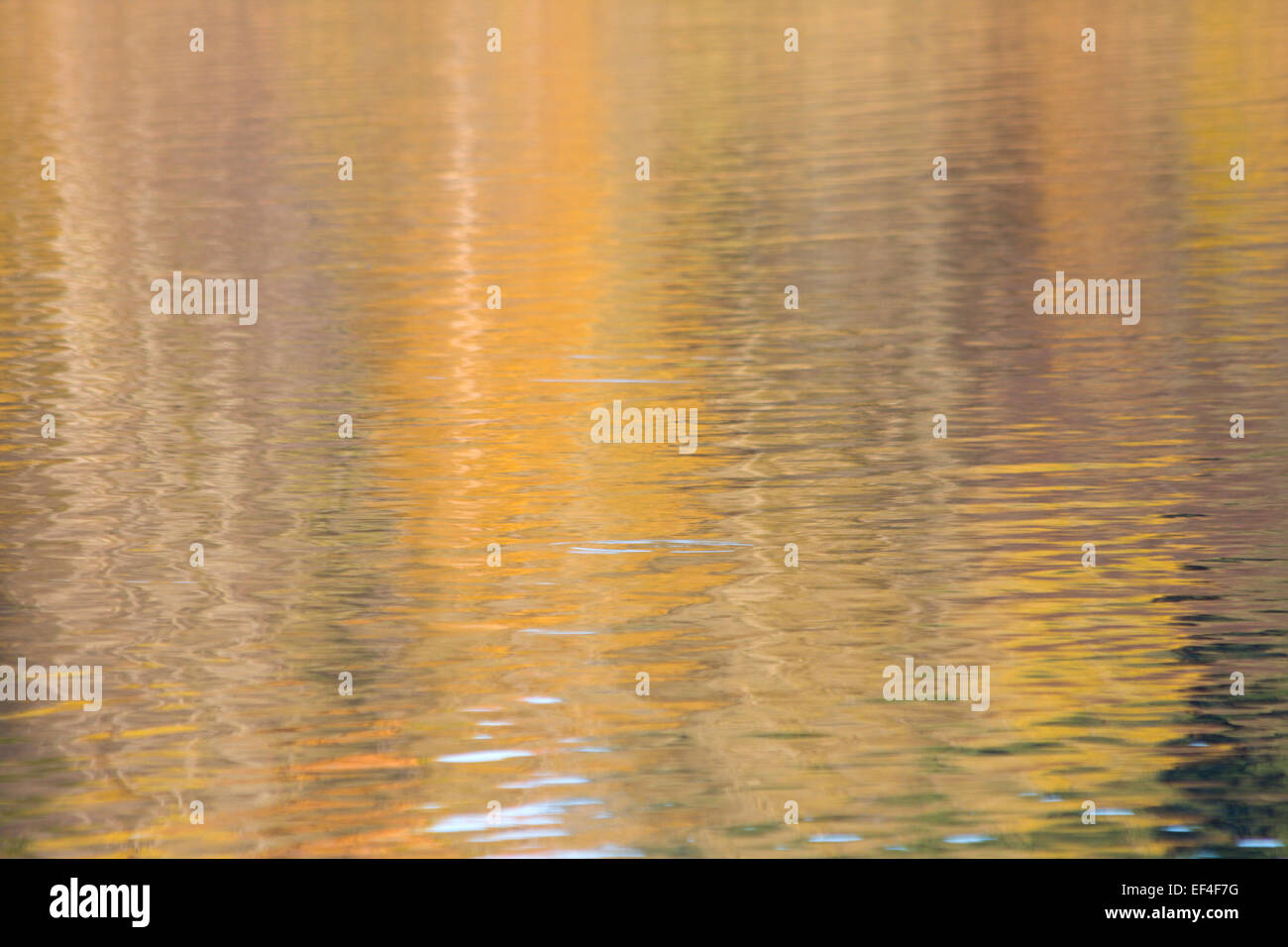 Reflet de soleil sur l'eau Banque D'Images