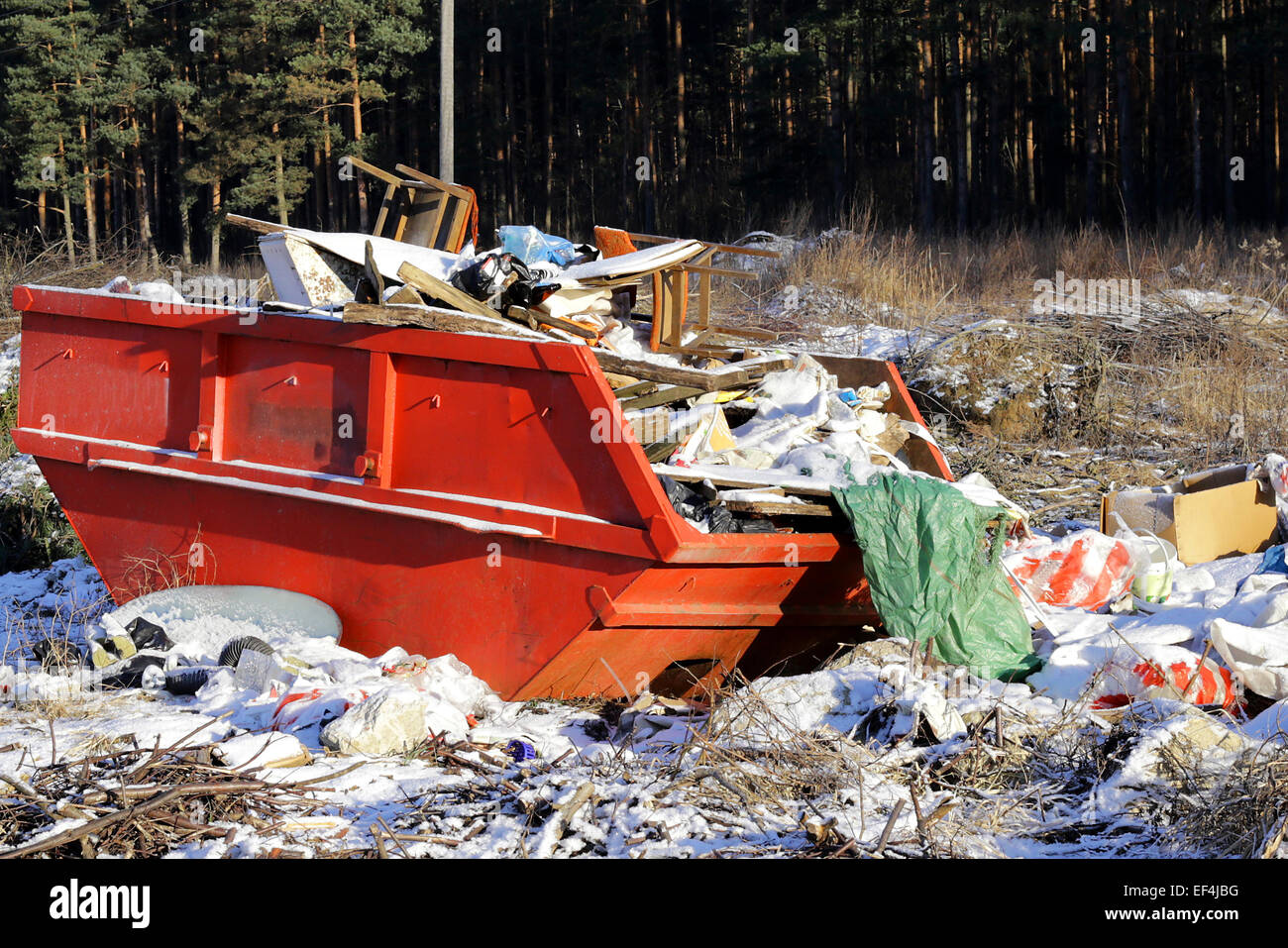 Déchets déchets bois de conteneurs-citernes d'hiver arbres nature écologie recyclage invasion Banque D'Images