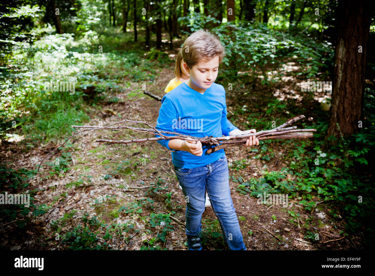 Les enfants ramasser du bois en forêt, Munich, Bavière, Allemagne Banque D'Images