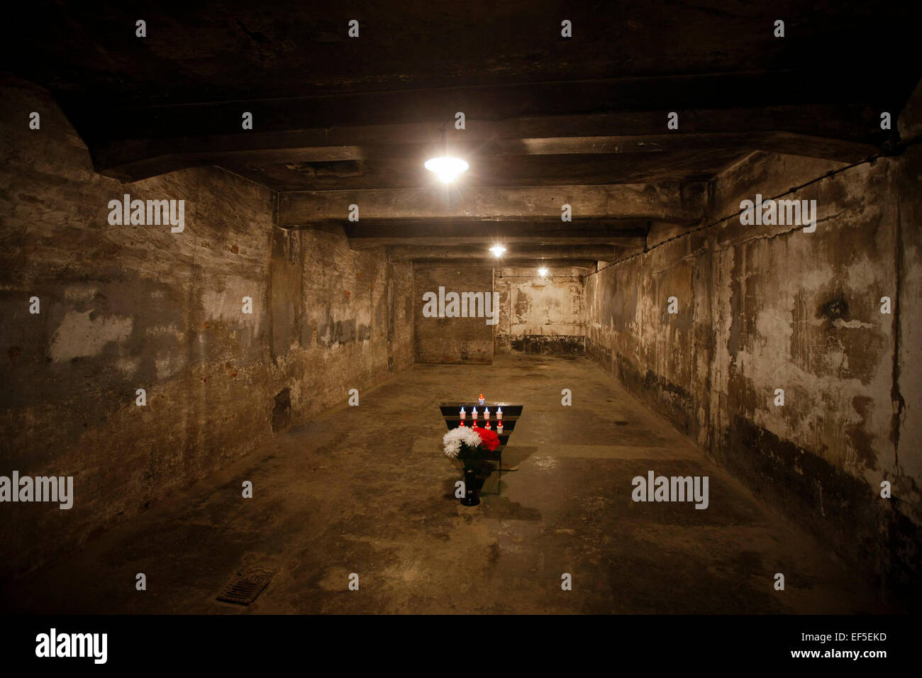 (150127) -- Bruxelles, le 27 janvier 2015 (Xinhua) -- Photo prise le 9 novembre 2012 montre la chambre à gaz au mémorial de l'emplacement de l'ancien camp de concentration d'Auschwitz à Oswiecim, Pologne. Les célébrations du 70e anniversaire de la libération du camp de concentration d'Auschwitz a commencé dans le sud de la ville polonaise d'Oswiecim, mardi matin. Le camp de concentration a été fondée en 1940 par les Allemands surtout pour le but d'emprisonner des prisonniers polonais. Depuis 1942 il est devenu l'Europe est l'un des plus grands lieux d'extermination des Juifs, avec plus de 1,1 millions de personnes tuées, également, y compris les poteaux, les Roumains, de sorte Banque D'Images