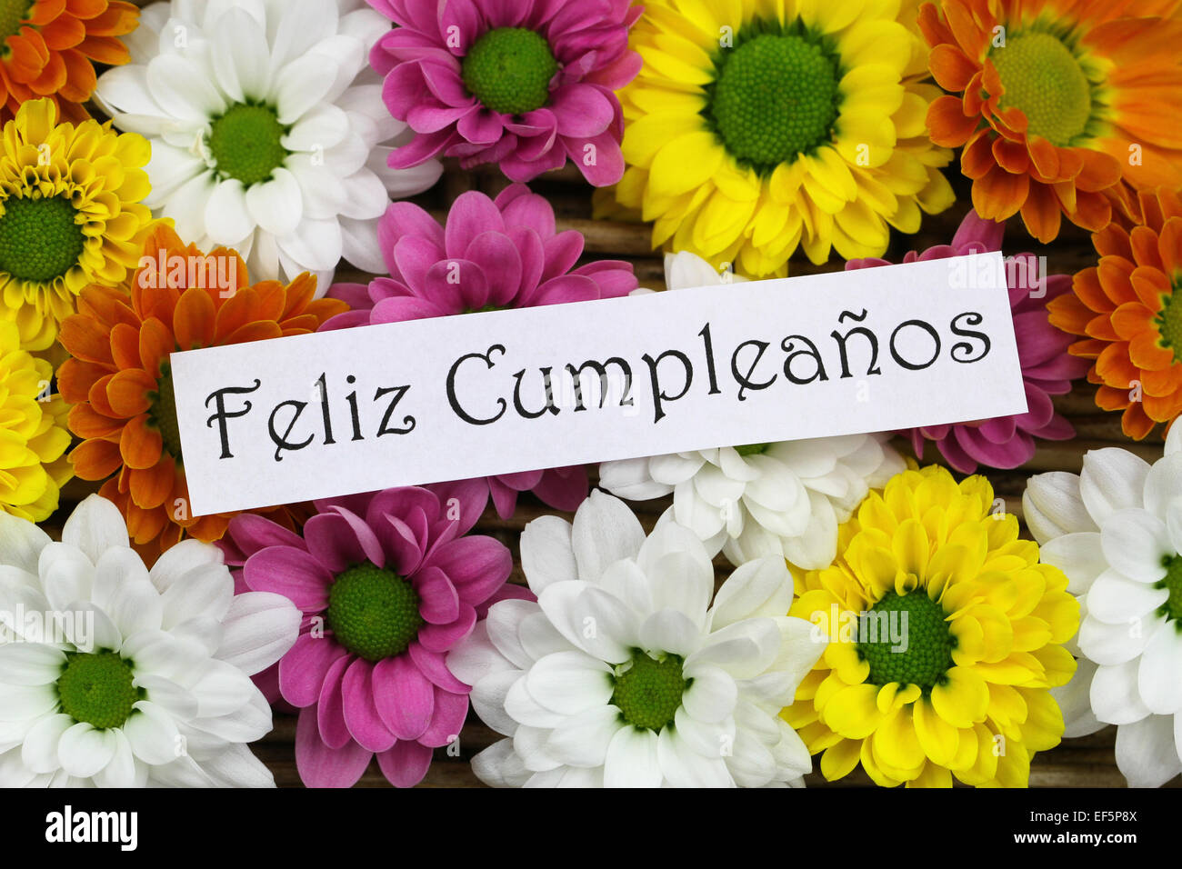 Feliz Cumpleanos Ce Qui Signifie Joyeux Anniversaire En Espagnol Carte Avec Fleurs Santini Colores Photo Stock Alamy Feliz Cumpleanos Ce Qui Signifie Joyeux Anniversaire En Espagnol Carte Avec Fleurs Santini Colores Photo Stock Alamy