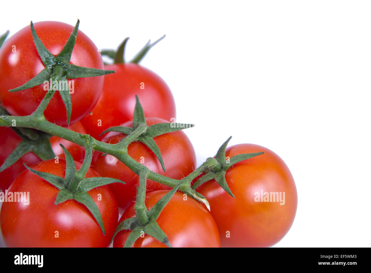 Les tomates biologiques isolées Banque D'Images