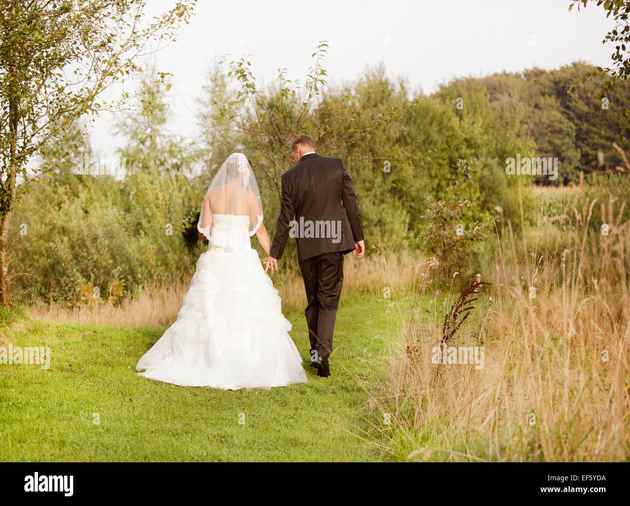 Mariée et le marié de marcher seul dans la nature à pied Banque D'Images