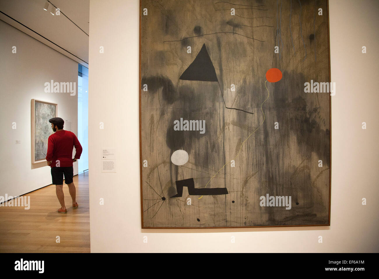 La naissance du monde, 1925, peinture de Joan Mirò, MOMA, Museum of Modern Art, New York, USA, Amérique Latine Banque D'Images