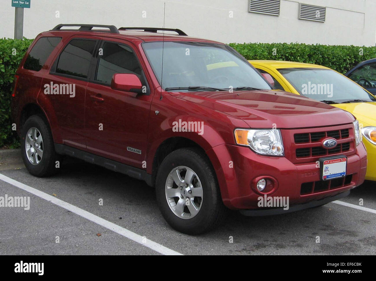 Le Ford Escape 2008 est un VUS compact reconnu pour son option hybride éconergétique, aux côtés des moteurs à essence de série. Il offre une conduite confortable, des caractéristiques de sécurité solides et un espace utilitaire généreux. Banque D'Images