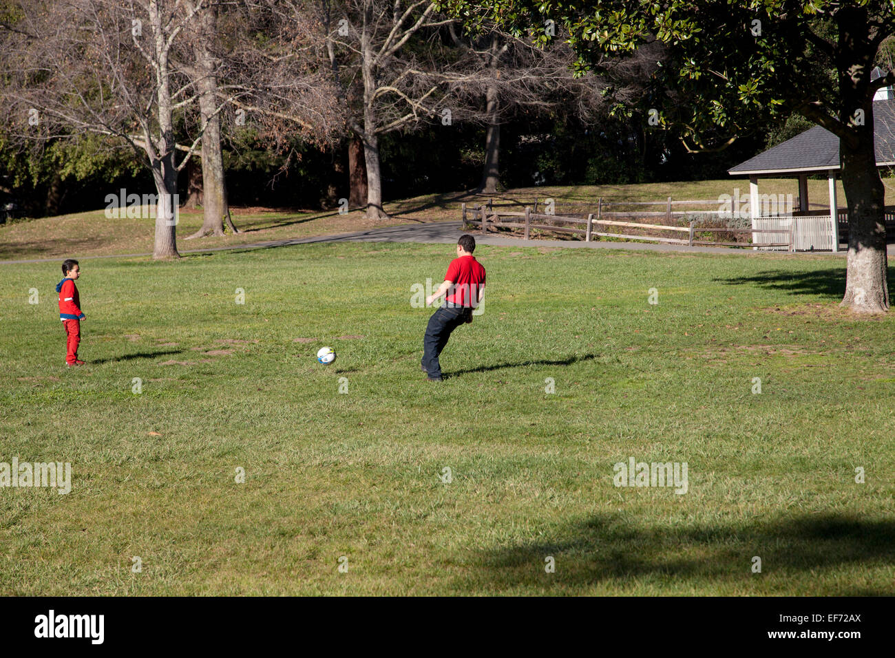 Père et fils jouent au soccer à pioneer park, Novato, Californie, USA Banque D'Images