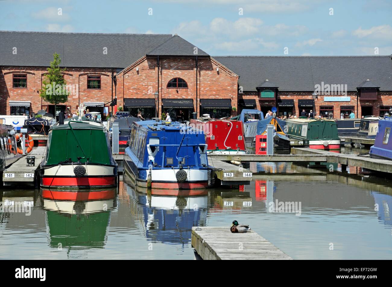 Narrowboats sur leurs amarres dans le bassin du canal, avec des magasins, bars et restaurants à l'arrière, Barton Marina, en Angleterre. Banque D'Images