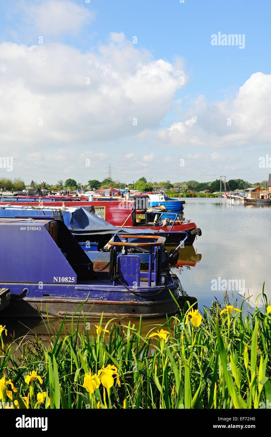 Narrowboats sur leurs amarres dans le bassin du canal, Barton Marina, Barton-under-Needwood, Staffordshire, Angleterre, Royaume-Uni, Europe. Banque D'Images