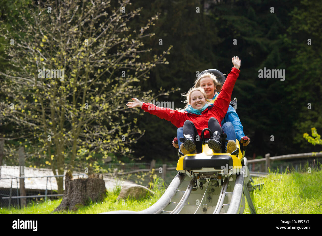 Les jeunes femmes sur une piste de luge d'été, dans le Steinwasenpark Oberried, Forêt-Noire, Bade-Wurtemberg, Allemagne Banque D'Images