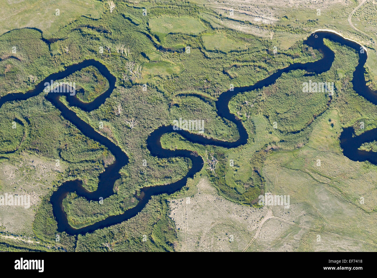 Owens River, près de l'évêque, California, United States Banque D'Images