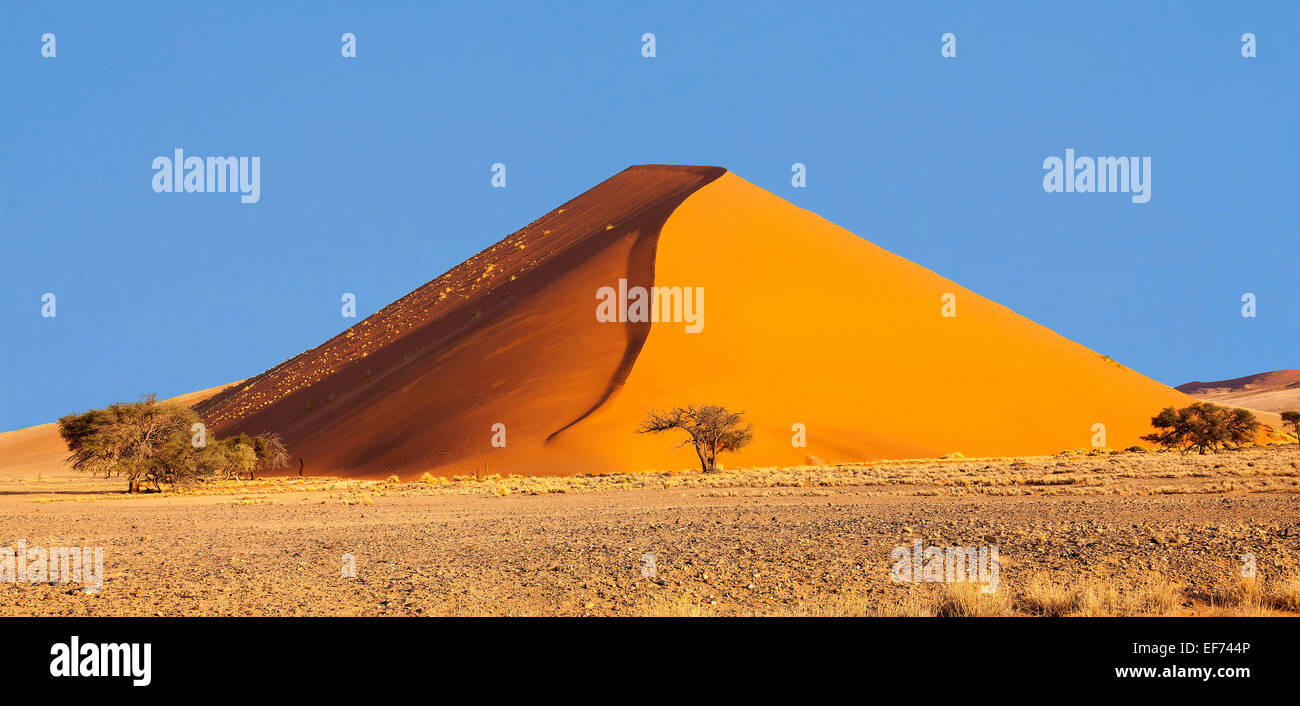 Dune de sable, Sossusvlei, Désert du Namib, Namibie, Namib-Naukluft National Park Banque D'Images