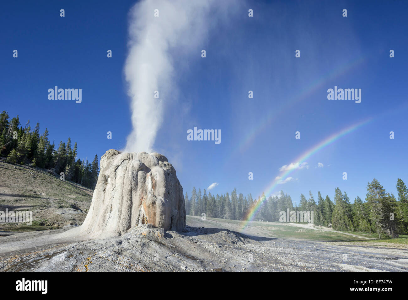 Lone Star geyser, le parc national de Yellowstone, Wyoming, united states Banque D'Images
