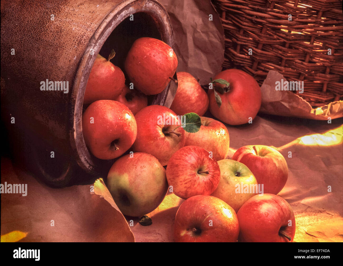 Récolte des pommes avec des pommes, d'un navire dans un cadre rustique Banque D'Images