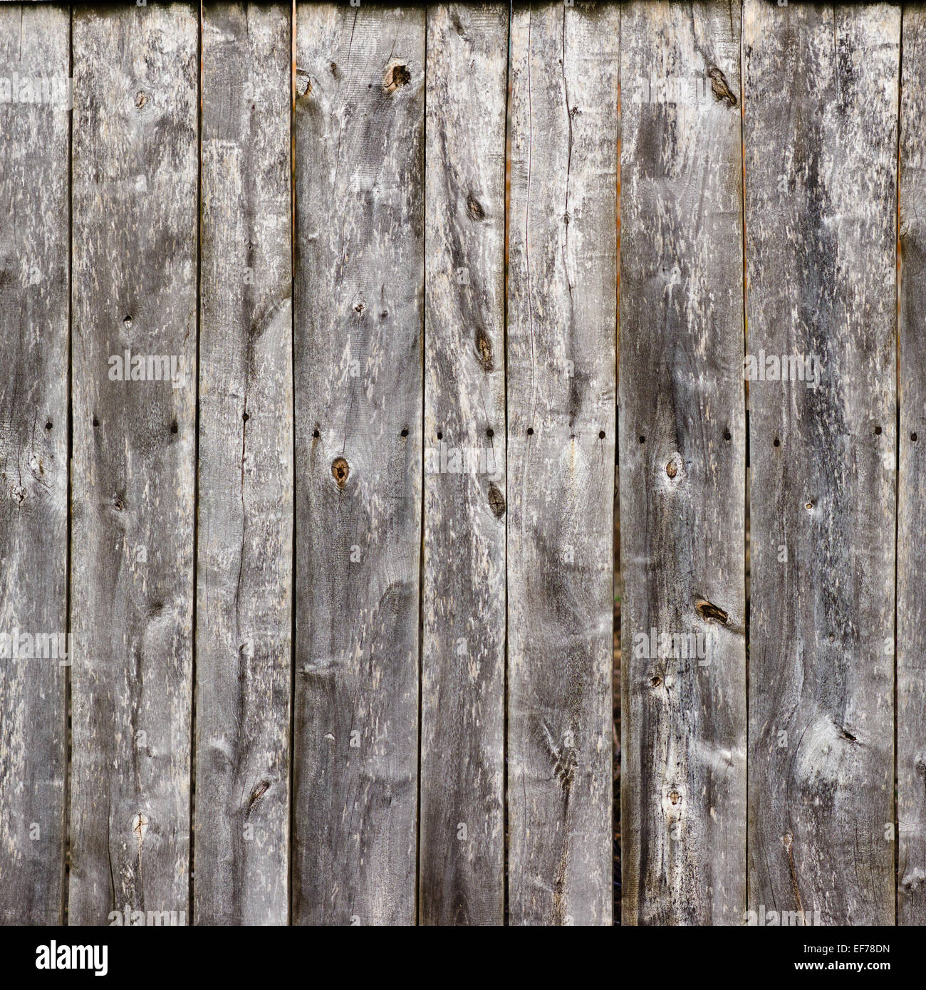 Les planches gris vieux bois de chêne Banque D'Images