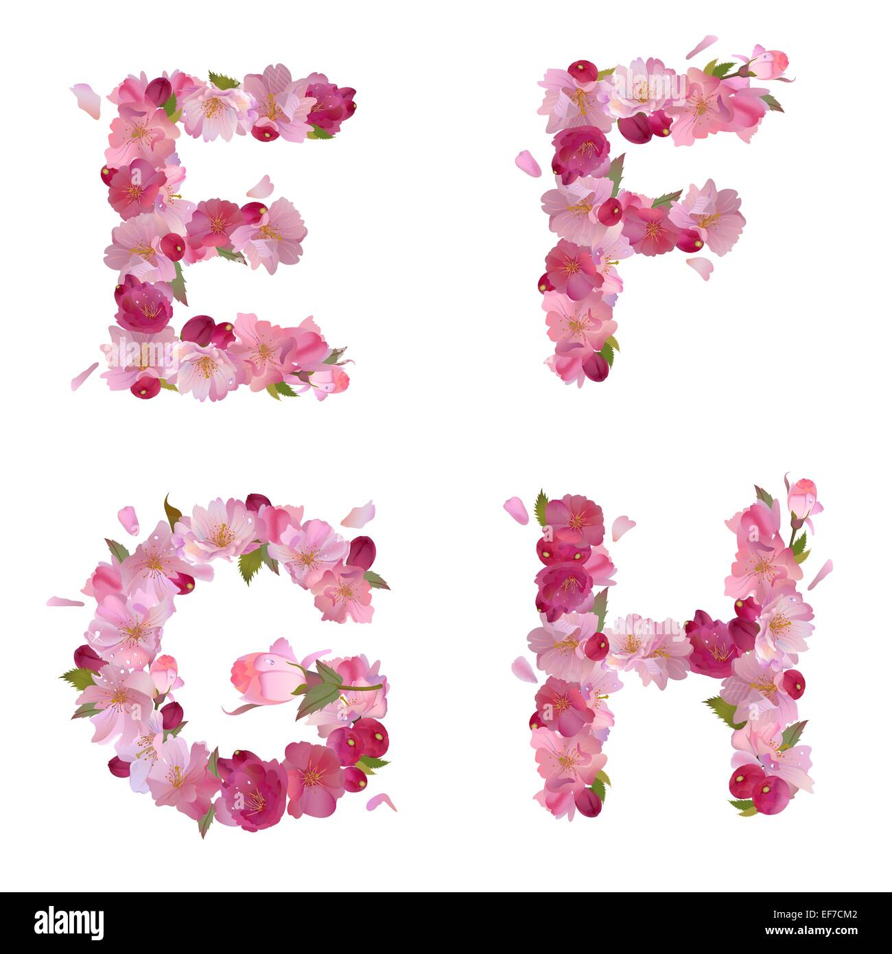 Alphabet printemps vecteur avec fleurs rose doux sakura lettres E,F,G,H ...