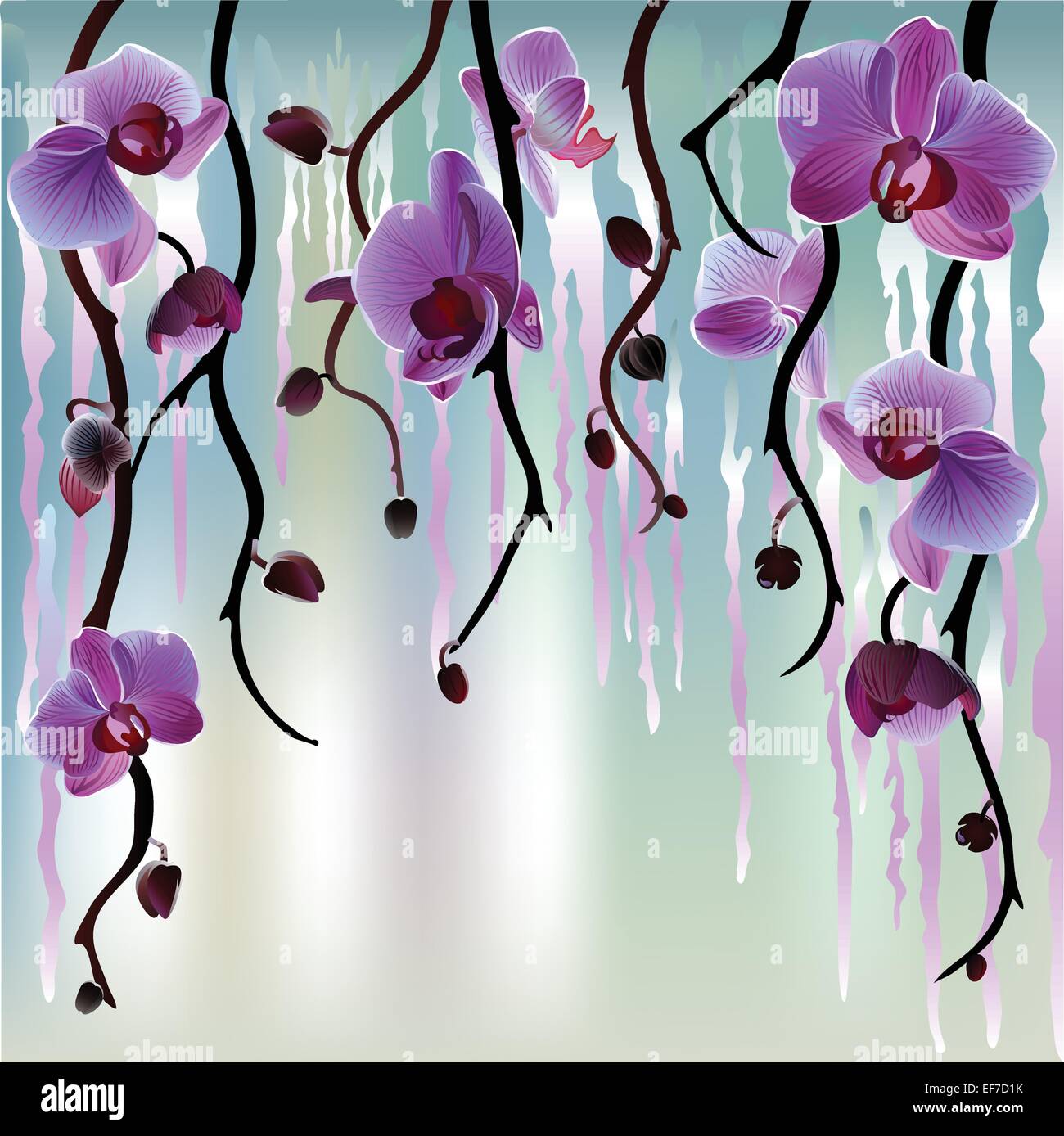 Vector background avec des branches d'orchidées violet Illustration de Vecteur