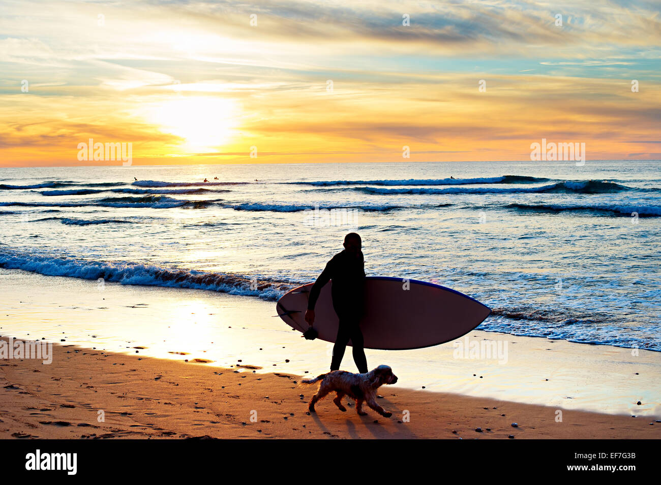Silhouette d'un surfeur avec un chien balade au coucher du soleil sur la plage Banque D'Images