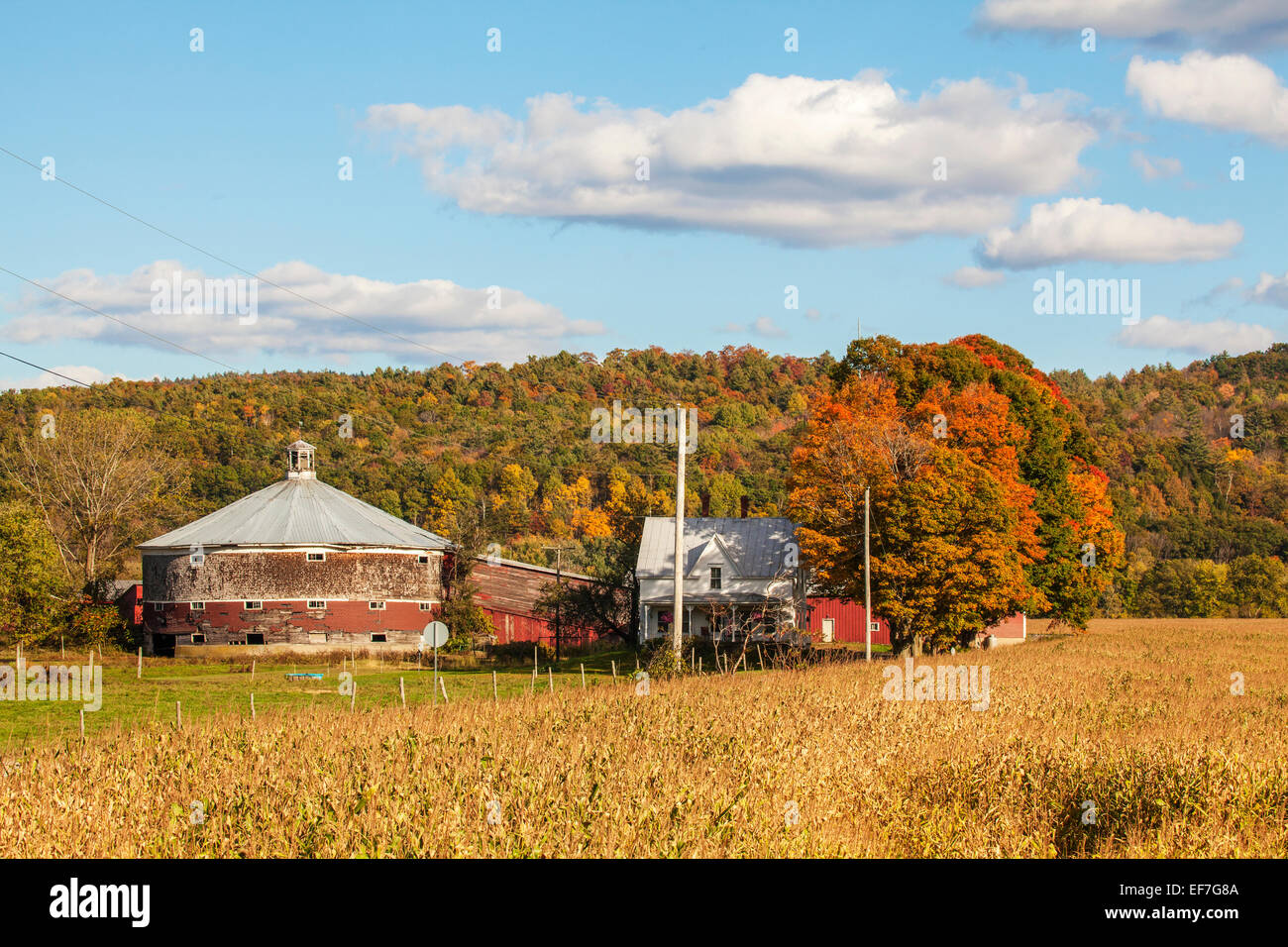 Grange ronde et ferme avec feuillage de l'automne dans le nord du Vermont, États-Unis d'Amérique. Format horizontal. Banque D'Images