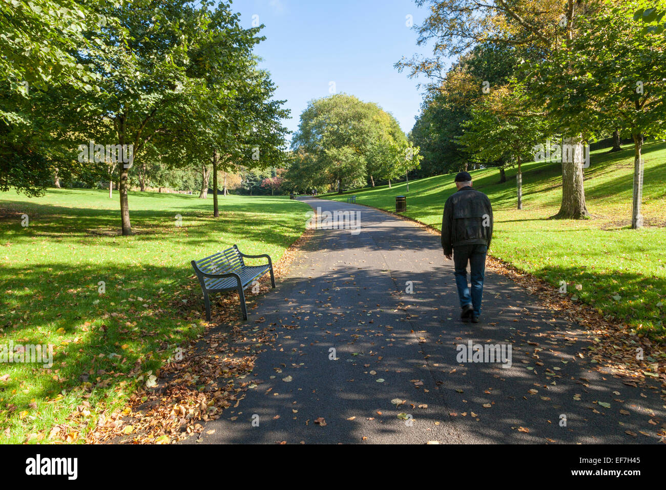 Homme marchant sur un chemin dans un parc en automne. L'Arboretum, Nottingham, England, UK Banque D'Images