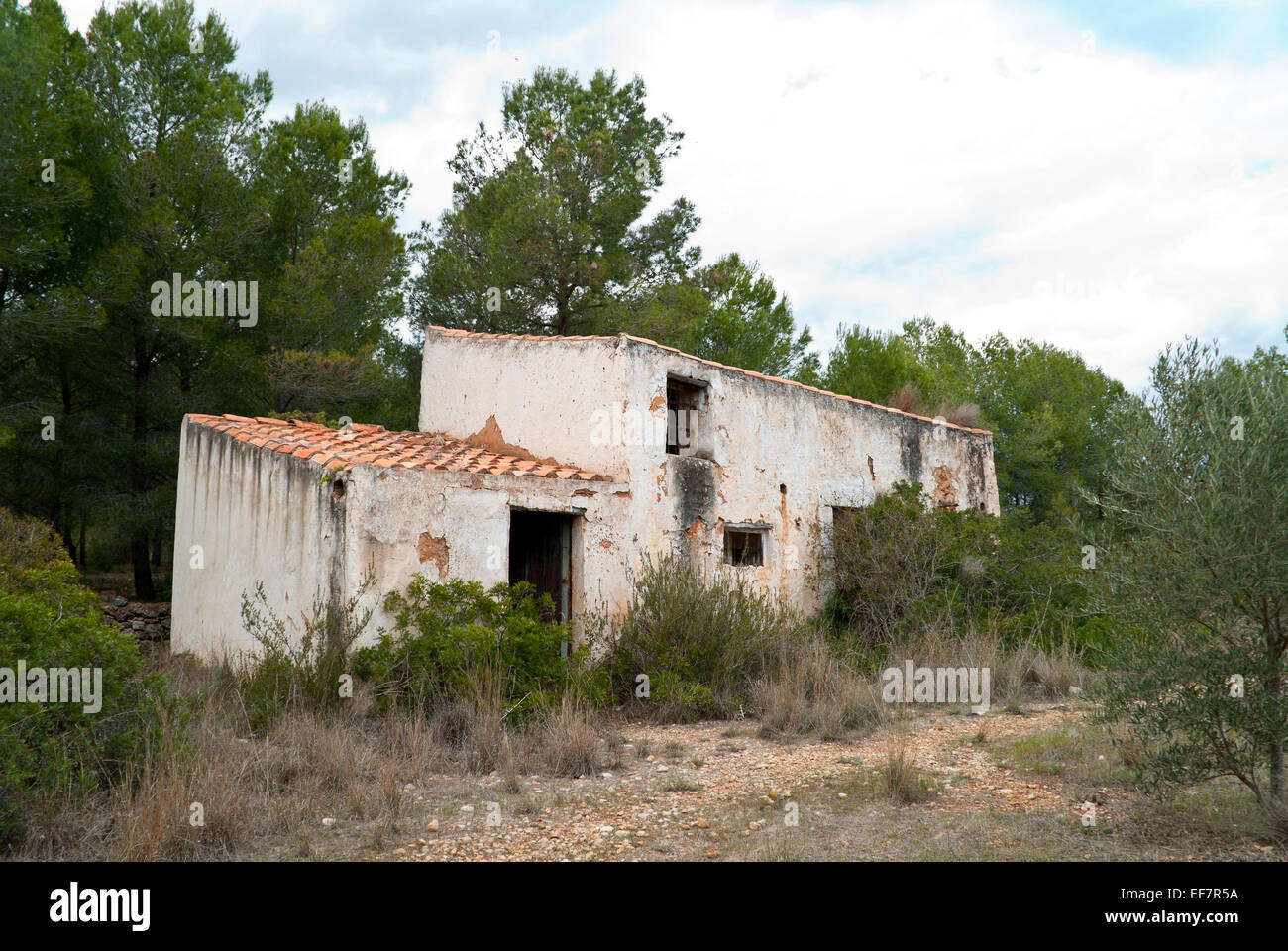 Vieille maison dans les bois Banque D'Images