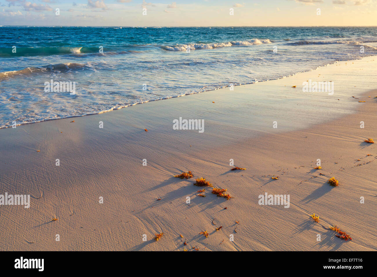 Lever de soleil coloré, du paysage de la côte de l'océan Atlantique. République dominicaine, Punta Cana Banque D'Images