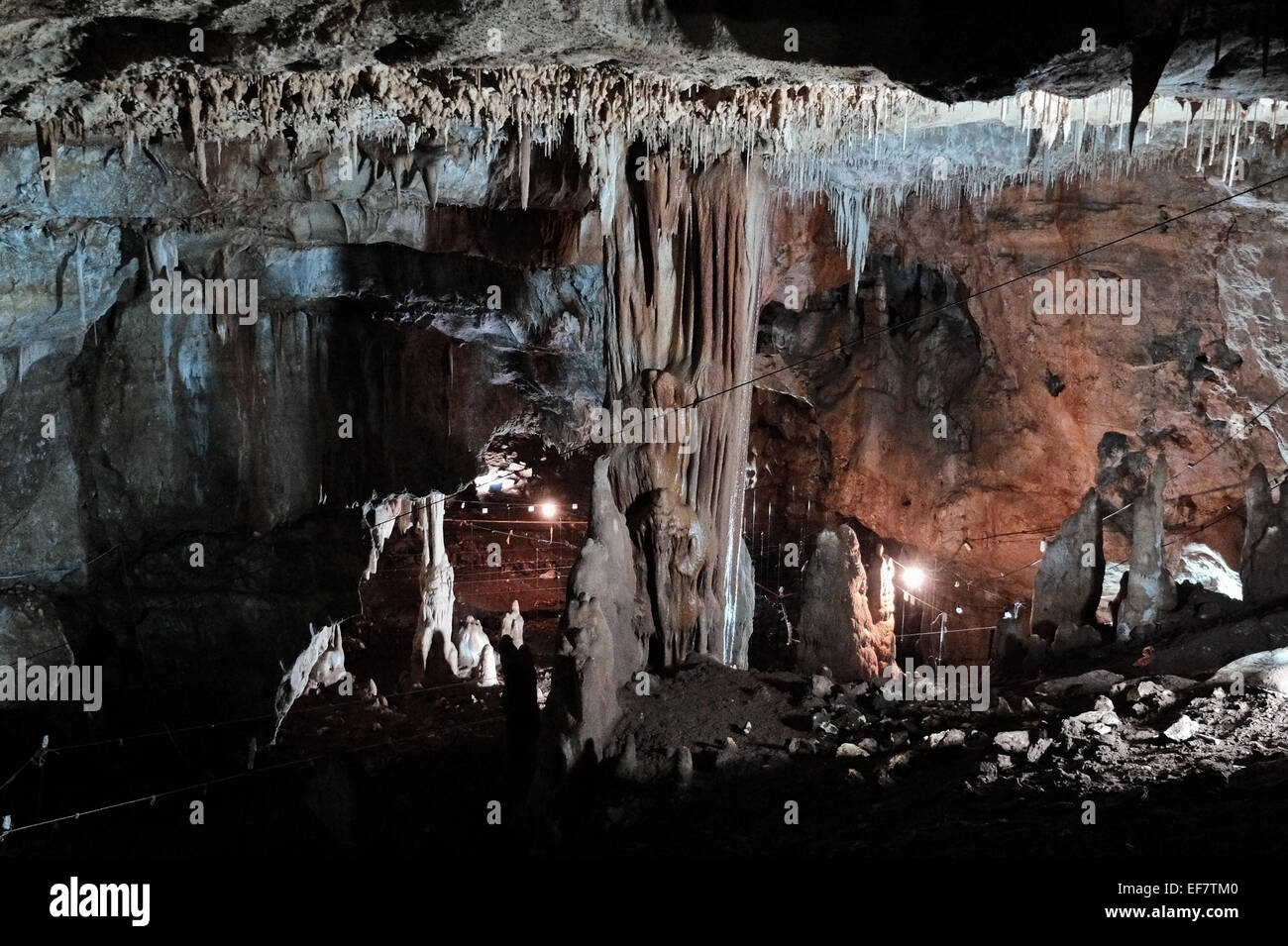 Manot Grotte, Israël. 28 janvier, 2015. 55 000 ans d'un crâne humain découvert dans la grotte de Manot dans l'ouest de la Galilée prouve, selon les scientifiques, que l'homme moderne (Homo sapiens) a migré depuis l'Afrique vers le reste du monde il y a environ 65 000 ans. Chercheurs considèrent le crâne, la première preuve fossilisée à l'extérieur de l'Afrique, 'l'une des plus importantes découvertes dans l'étude de l'évolution humaine. Credit : Alon Nir/Alamy Live News Banque D'Images