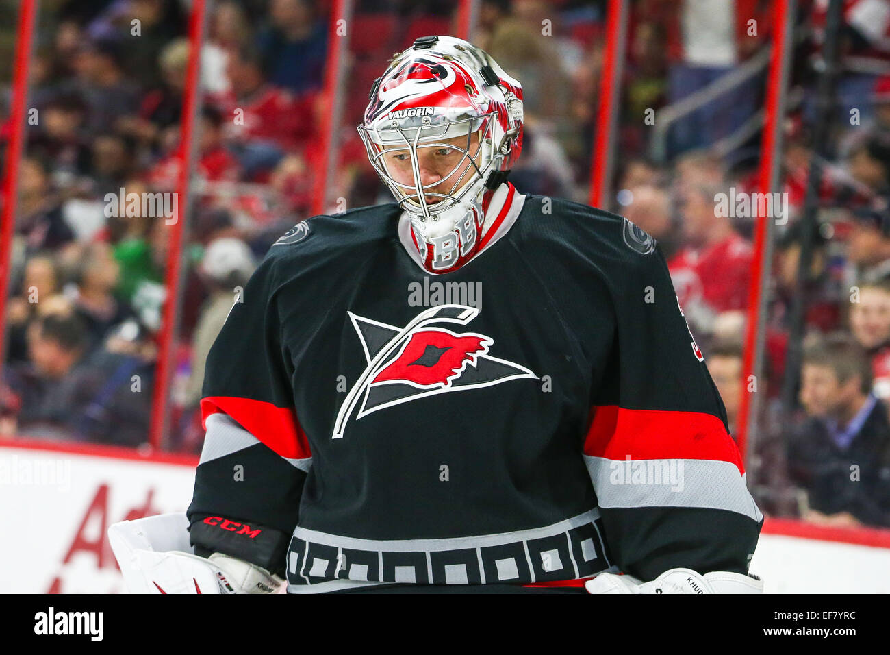 Raleigh, Caroline du Nord, USA. 27 Jan, 2015. Le gardien des Hurricanes de la Caroline Anton Khudobin (31) au cours de la partie de la LNH entre le Lightning de Tampa Bay et les Hurricanes de la Caroline au PNC Arena. Les Hurricanes de la Caroline a battu le Lightning de Tampa Bay 4-2. Credit : Andy Martin Jr/Alamy Live News Banque D'Images