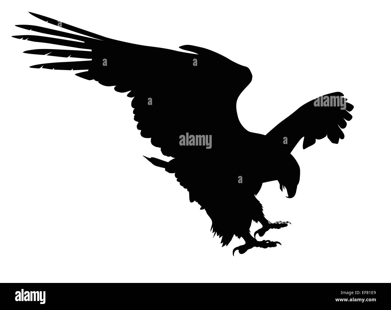 Aigle chasse silhouette vecteur détaillées Banque D'Images