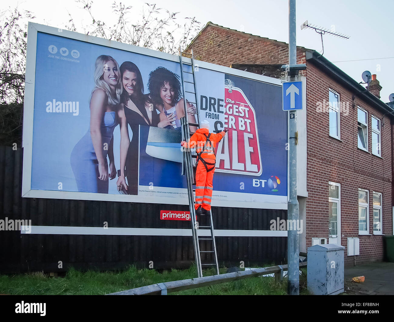 Homme debout sur une échelle, coller une affiche publicitaire sur billboard  Photo Stock - Alamy