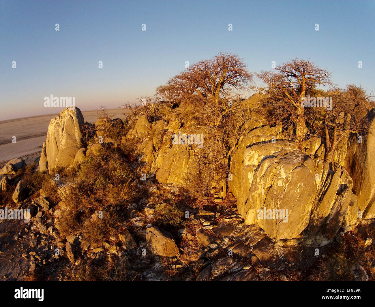 L'Afrique, Botswana, vue aérienne de coucher du soleil la lumière sur les Baobabs au sommet rocheux de granit à sec de Kubu Island dans Makgadikgadi Pan dans Banque D'Images